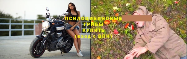 дмт Аркадак