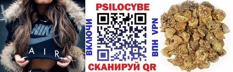 Псилоцибиновые грибы Psilocybe  Мамадыш 